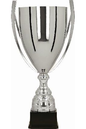 Puchar metalowy srebrny BASTERS 1058 A