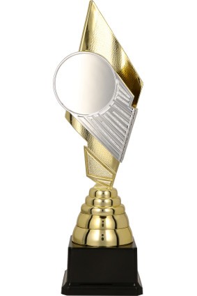 Puchar plastikowy złoto-srebrny ROTI 8310
