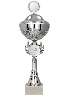 Puchar metalowy srebrny z przykrywką 8343