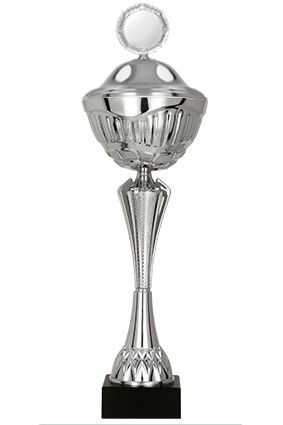 Puchar metalowy srebrny z przykrywką 8349