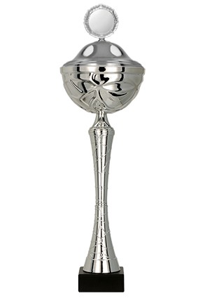 Puchar metalowy srebrny z przykrywką 9252