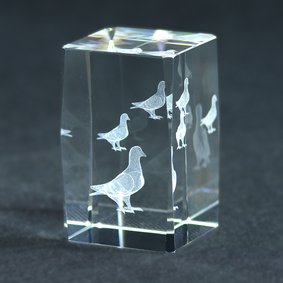 Szkło 3D – gołąb