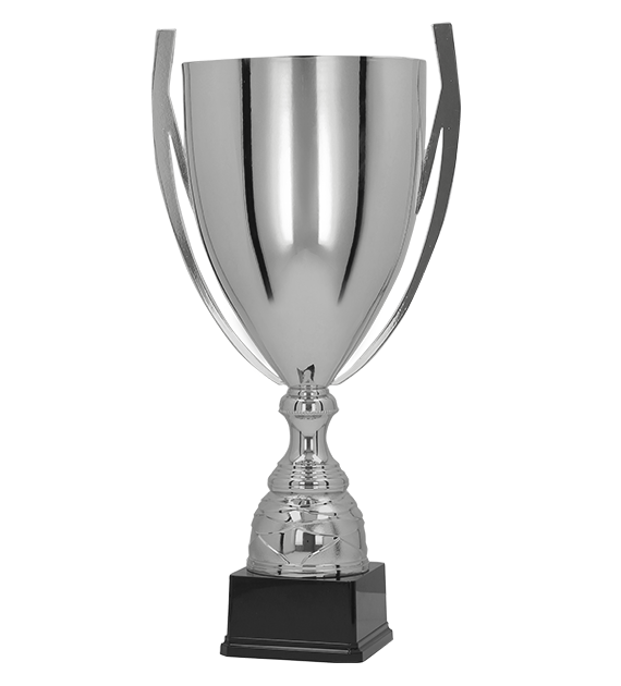 Puchar metalowy srebrny - BASTERS