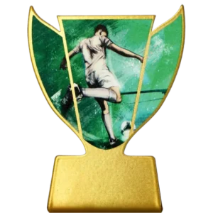 Trofeum metalowe - Najlepszy strzelec