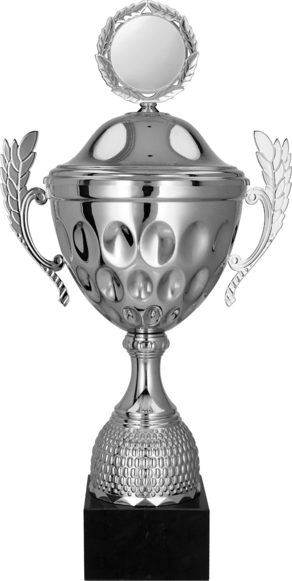 4234_P Puchar metalowy z przykrywką