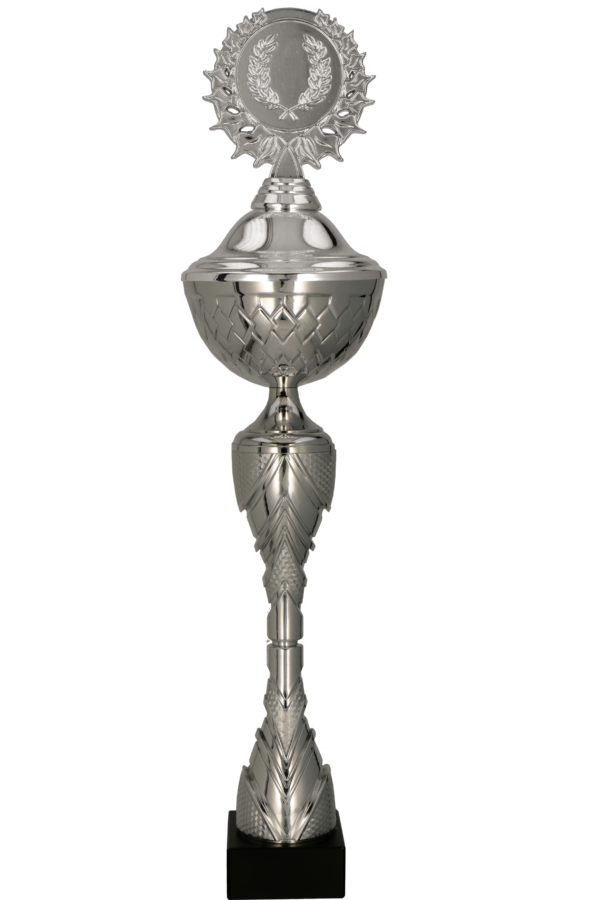 8488_P Puchar metalowy srebrny z przykrywką