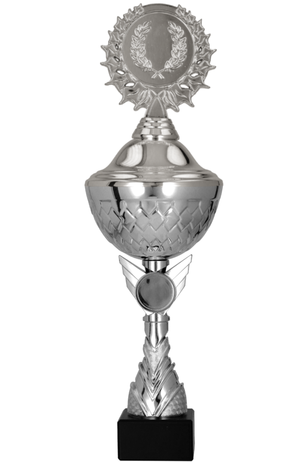9305_P Puchar metalowy srebrny z przykrywką