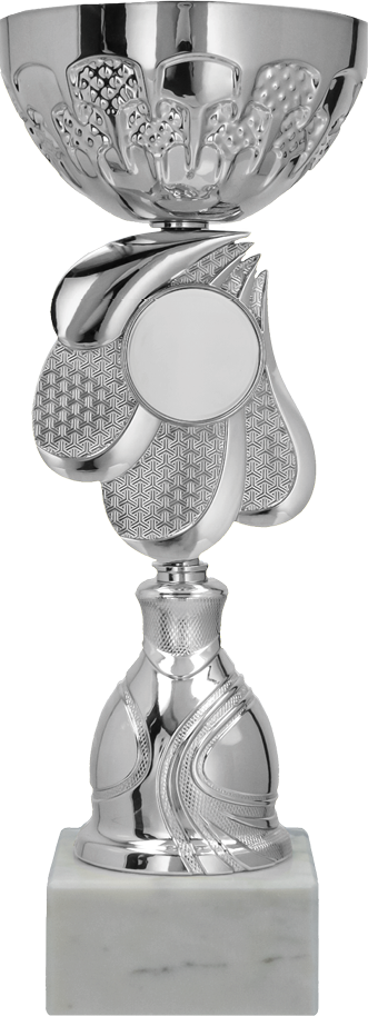 Puchar metalowy srebrny (emblemat 50mm)