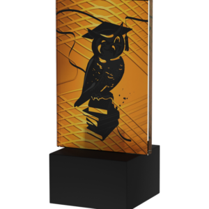 Trofeum Mini-Line Amber - SZKOLNICTWO