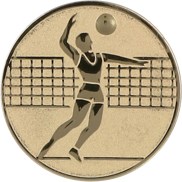Wklejka aluminiowa złota - siatkówka mężczyzn