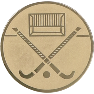 Wklejka aluminiowa - hokej