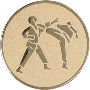 Wklejka aluminiowa - karate