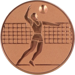 Wklejka aluminiowa brąz - siatkówka mężczyzn