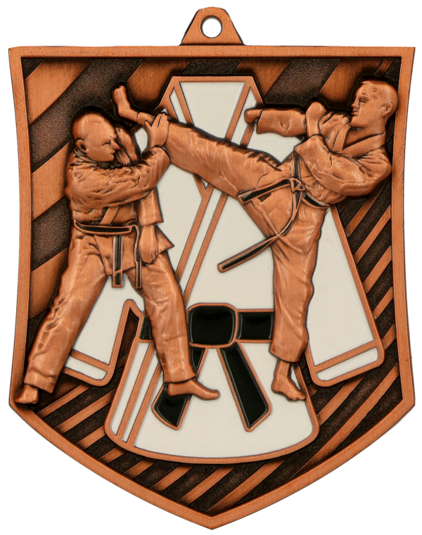 Medal odlewany brązowy – karate - z grawerowaniem na laminacie