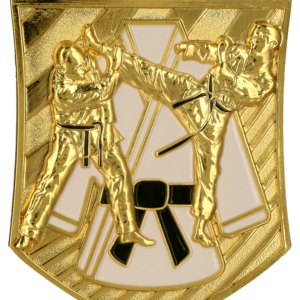 Medal odlewany złoty – karate