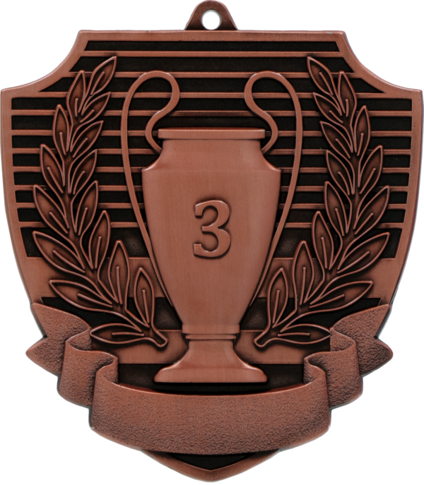 Medal brąz - puchar - miejsce III