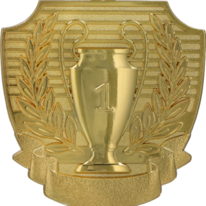 Medal złoty - puchar - miejsce I