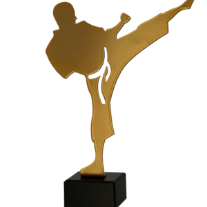 Trofeum metalowe z marmurową podstawą - Karate - karateka