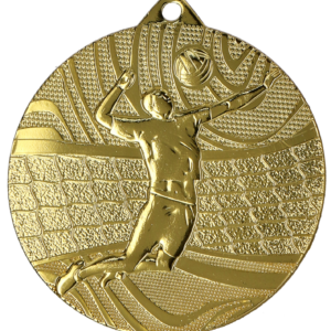 MMC41050_G Medal złoty- piłka siatkowa - medal stalowy