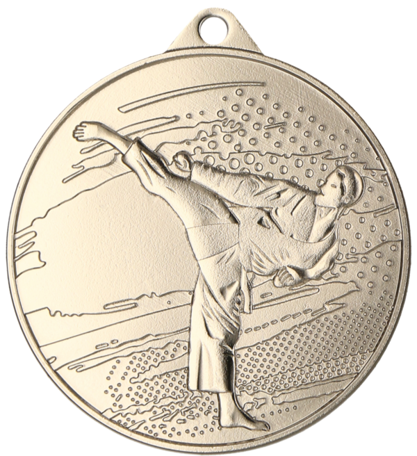 Medal srebrny - Karate