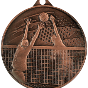Medal brązowy - Siatkówka