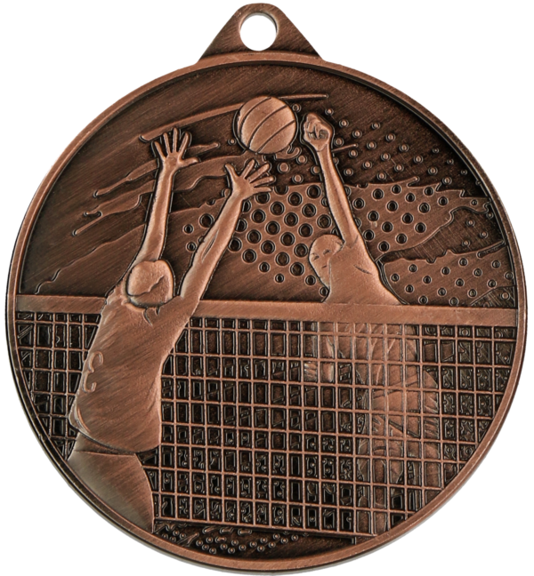 Medal brązowy - Siatkówka