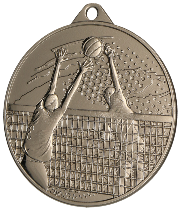 Medal srebrny - Siatkówka