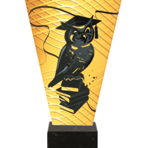 Monochromatyczne trofeum szklane na podstawie marmurowej - SZKOLNICTWO